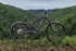 2025 Ibis Ripmo V3 Frame